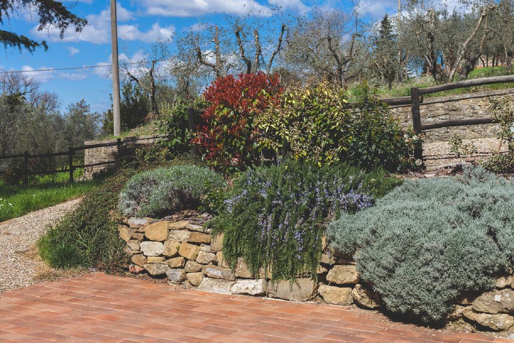 Agriturismo La Collina Toscana Pieve a Maiano Εξωτερικό φωτογραφία