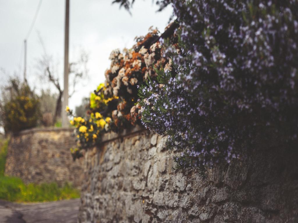 Agriturismo La Collina Toscana Pieve a Maiano Εξωτερικό φωτογραφία